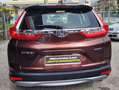 Honda CR-V CR-V 2.0 hev Lifestyle Navi ecvt Marrone - thumbnail 5