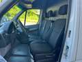 Mercedes-Benz Sprinter Sprinter F37/33 311 CDI TN Furgone Executive Bianco - thumbnail 9