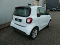 smart forTwo // 2.Hd., Scheckh., Pano, Sitzh., Allw. Weiß - thumbnail 5