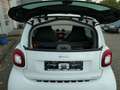 smart forTwo // 2.Hd., Scheckh., Pano, Sitzh., Allw. Weiß - thumbnail 11