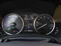 Lexus NX 300 Hybrid 4WD Luxury Grijs - thumbnail 23