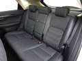 Lexus NX 300 Hybrid 4WD Luxury Grigio - thumbnail 15