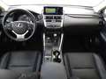 Lexus NX 300 Hybrid 4WD Luxury Grau - thumbnail 16