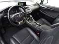 Lexus NX 300 Hybrid 4WD Luxury Grau - thumbnail 12