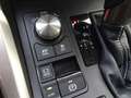Lexus NX 300 Hybrid 4WD Luxury Grau - thumbnail 31
