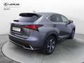 Lexus NX 300 Hybrid 4WD Luxury Grigio - thumbnail 7