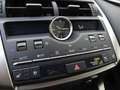Lexus NX 300 Hybrid 4WD Luxury Grau - thumbnail 29