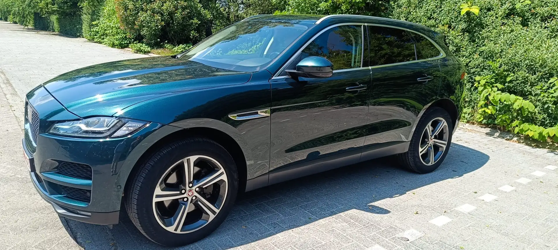Jaguar F-Pace F-Pace 30d AWD Portfolio Vert - 1