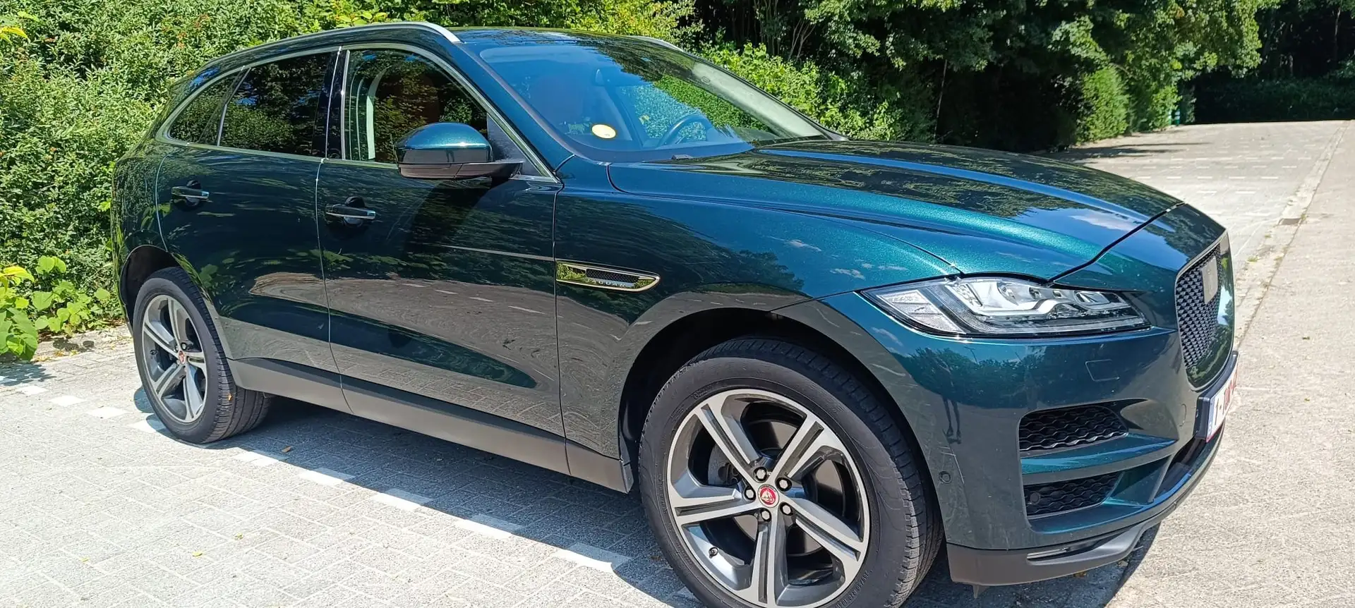 Jaguar F-Pace F-Pace 30d AWD Portfolio Vert - 2