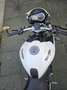 Triumph Speed Triple 1050 Wit - thumbnail 8