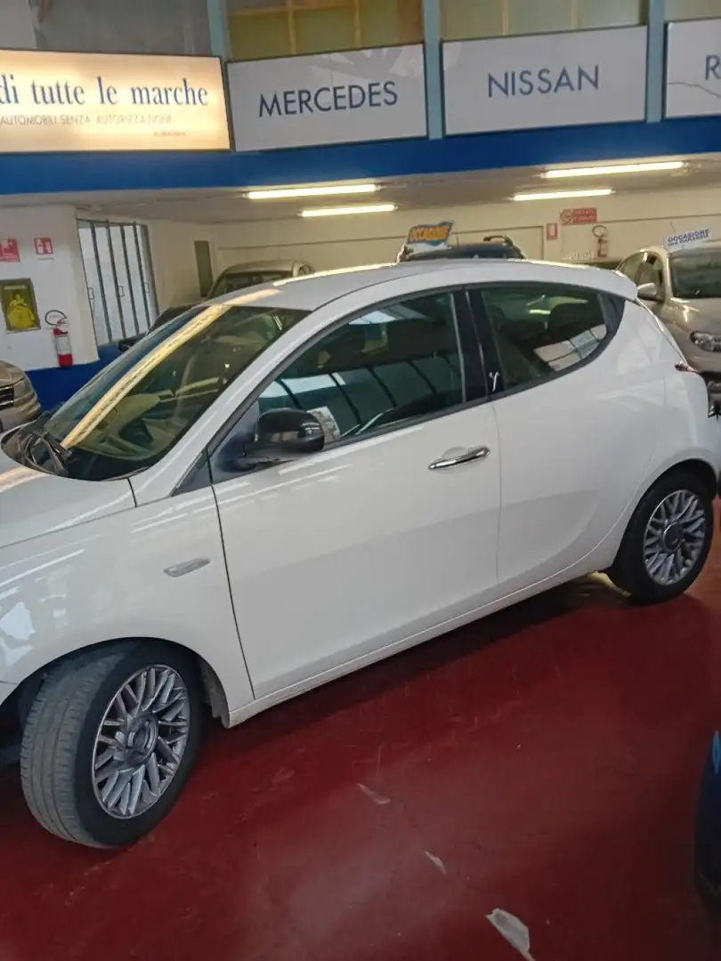 Lancia Ypsilon 1.2 69 CV 5 porte Gold Bianco - 2