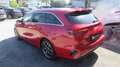 Kia Ceed SW / cee'd SW ceed SW 1,5 TGDI Platin 48V DCT Rot - thumbnail 6