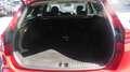 Kia Ceed SW / cee'd SW ceed SW 1,5 TGDI Platin 48V DCT Rot - thumbnail 15