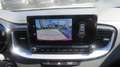 Kia Ceed SW / cee'd SW ceed SW 1,5 TGDI Platin 48V DCT Rot - thumbnail 13