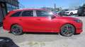Kia Ceed SW / cee'd SW ceed SW 1,5 TGDI Platin 48V DCT Rot - thumbnail 8