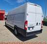 Fiat Ducato Ducato 35+ L4H3 BlueHDi 140 S&S Blanc - thumbnail 6