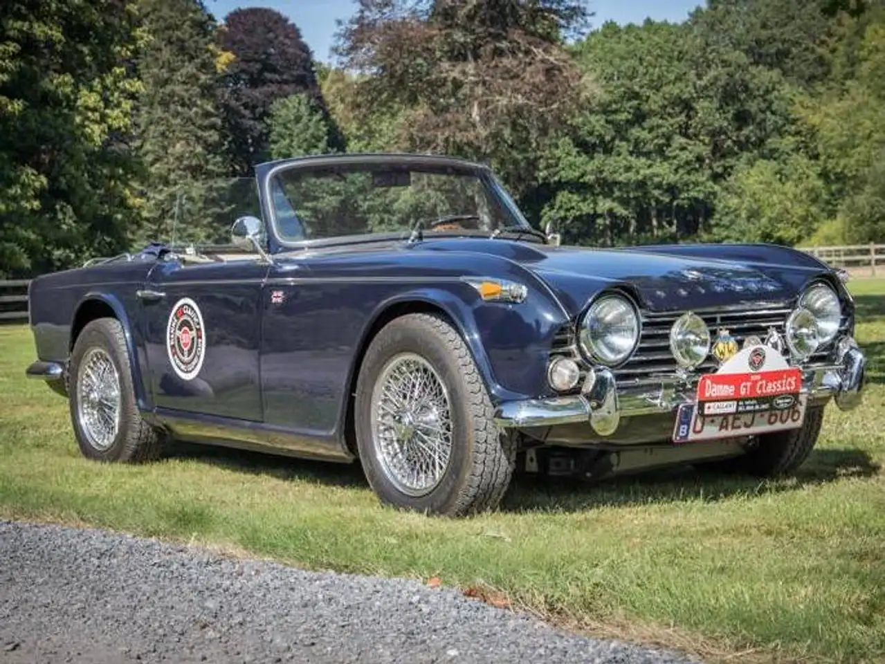 Triumph TR4 IRS, foto 2