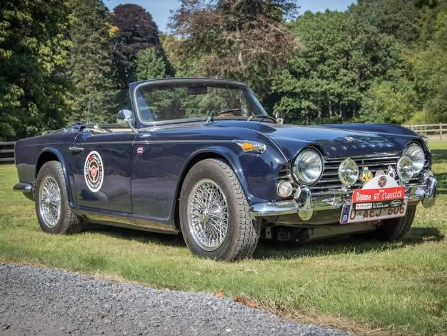 Triumph TR4 IRS Blau - 2