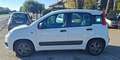 Fiat Panda Panda III 2016 1.2 Benz/GPL Pop 69cv Bianco - thumbnail 4