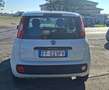 Fiat Panda Panda III 2016 1.2 Benz/GPL Pop 69cv Bianco - thumbnail 3