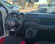 Fiat Panda Panda III 2016 1.2 Benz/GPL Pop 69cv Bianco - thumbnail 7