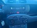 Fiat Panda Panda III 2016 1.2 Benz/GPL Pop 69cv Bianco - thumbnail 9
