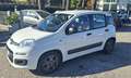 Fiat Panda Panda III 2016 1.2 Benz/GPL Pop 69cv Bianco - thumbnail 2