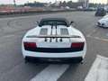 Lamborghini Gallardo Gallardo Spider 5.2 LP 570-4 Performante  e-gear - thumbnail 43
