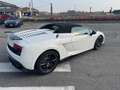 Lamborghini Gallardo Gallardo Spider 5.2 LP 570-4 Performante  e-gear - thumbnail 44