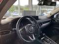 Mazda CX-5 CD184 AWD Revolution Top Aut. Rot - thumbnail 9