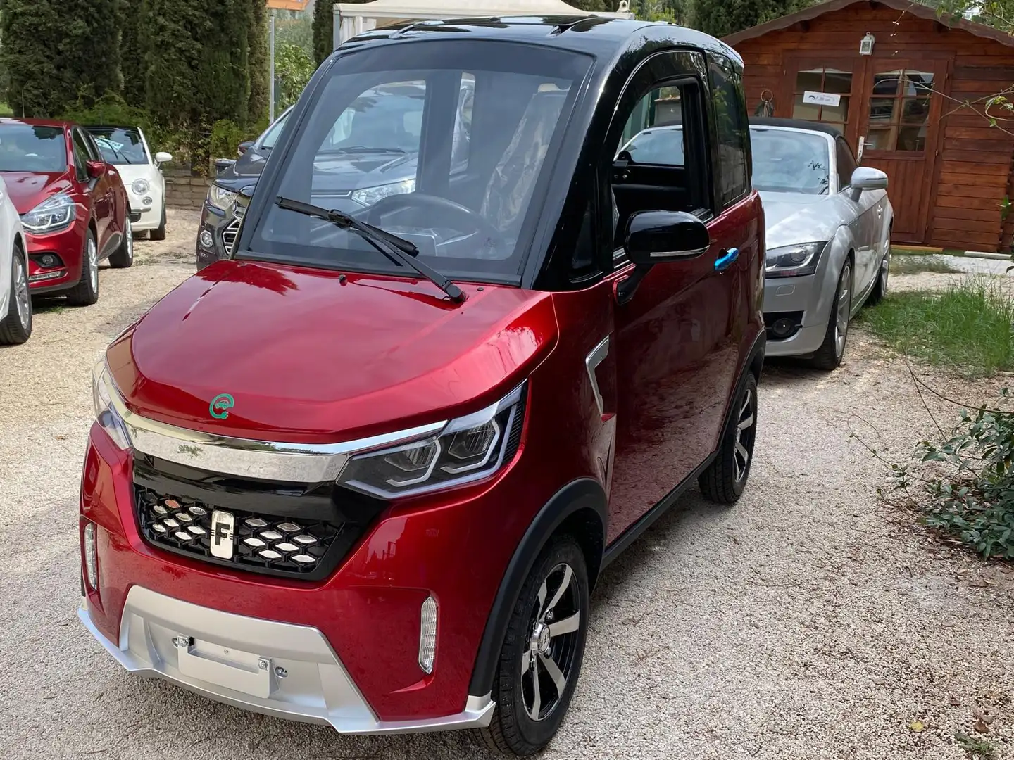EVO freedom Evo per disabili e anziani guida senza pat - 1
