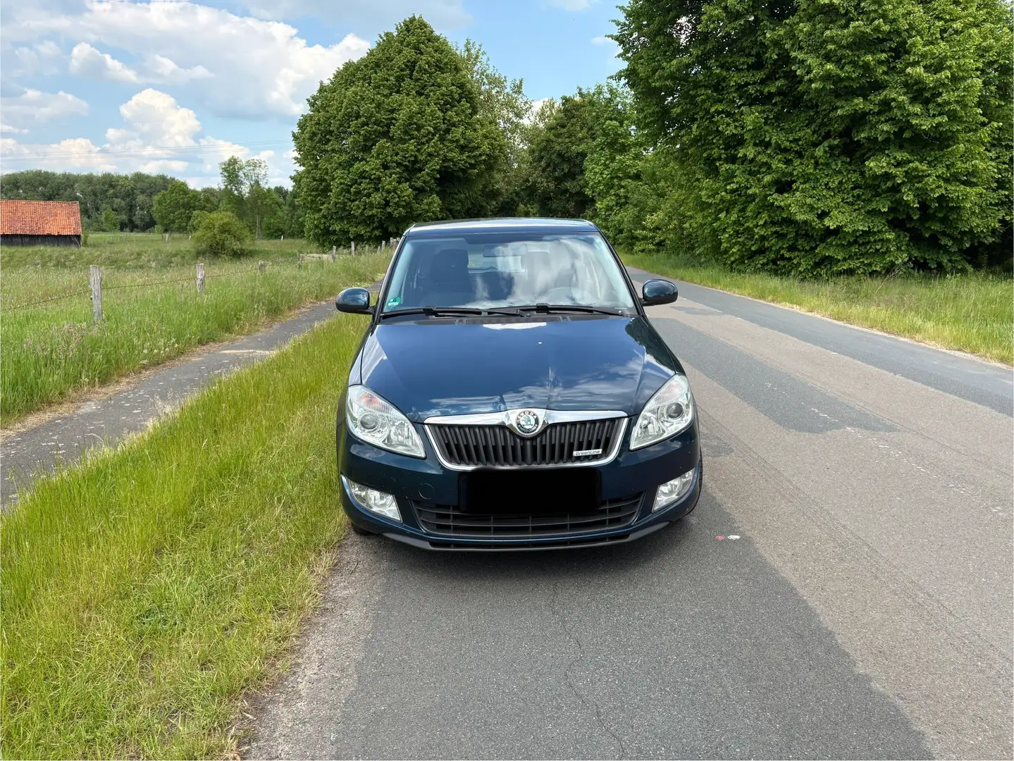 Skoda Fabia 1.2 TDI DPF Combi GreenLine Azul - 2