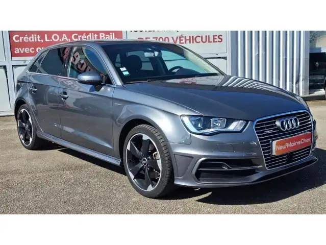 Audi E-Tron view 15