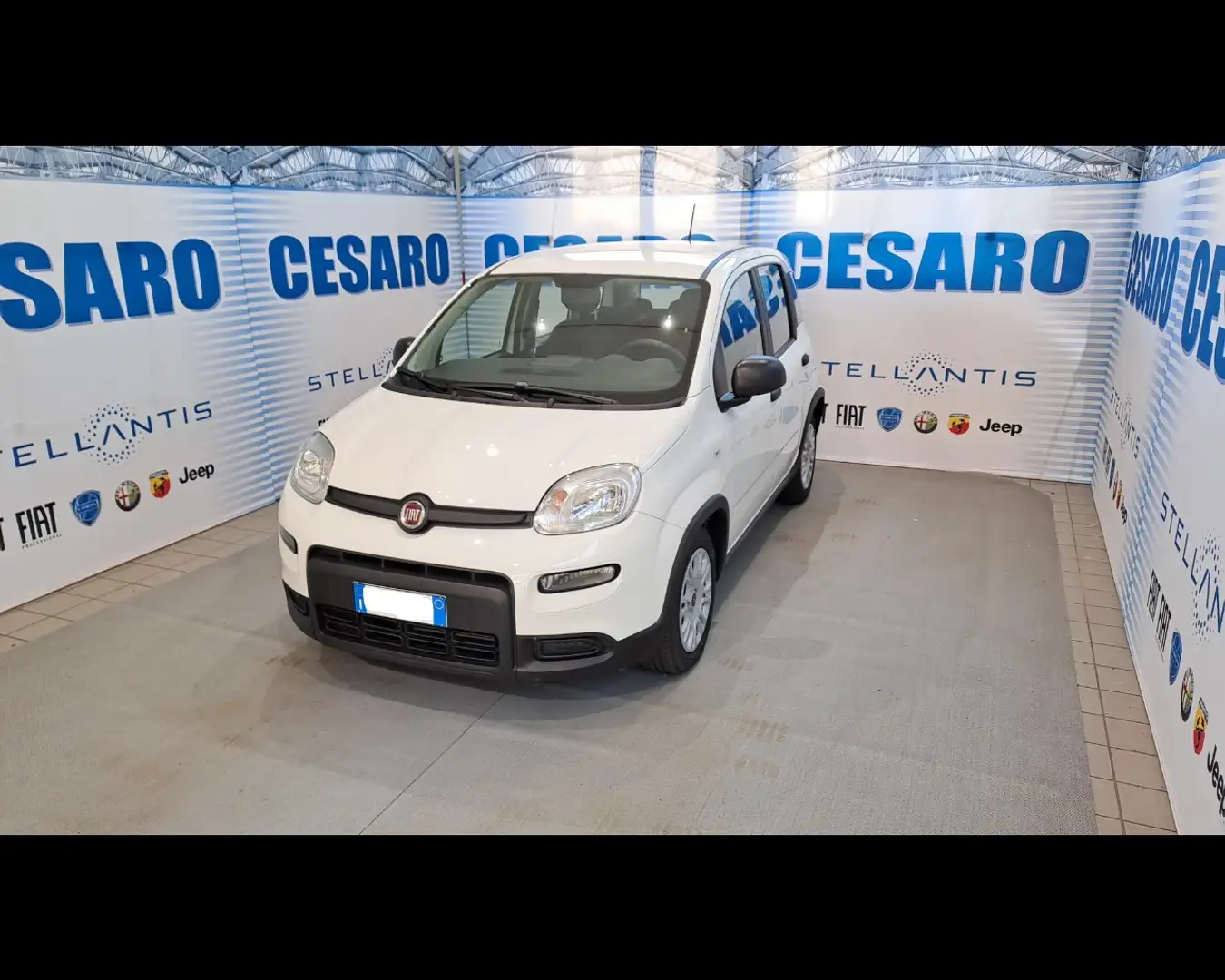 Fiat New Panda 1.0 FireFly Hybrid Білий - 2