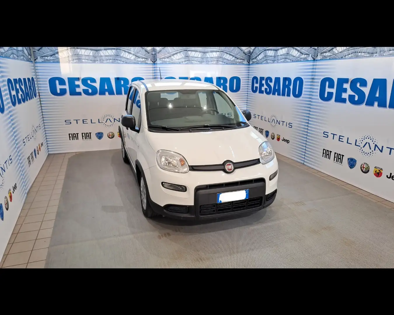 Fiat New Panda 1.0 FireFly Hybrid Білий - 1