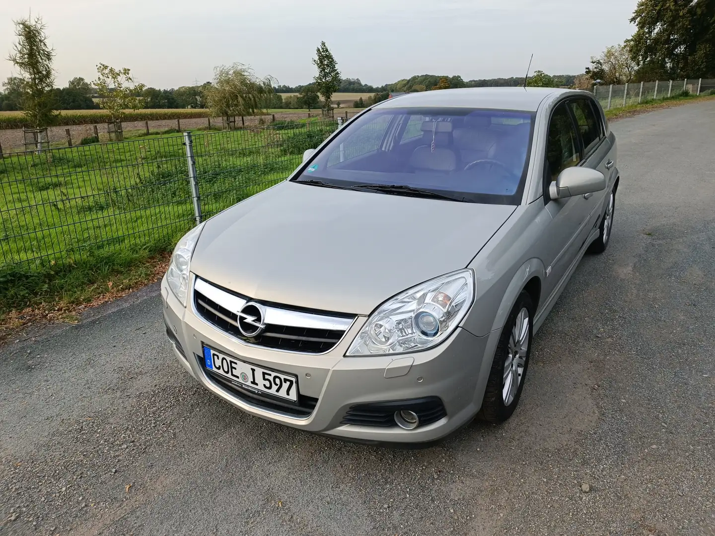 Opel Signum Signum 2.2 Grey - 1