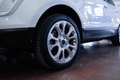 Ford EcoSport 1.0 Ecoboost Titanium S&S 125 CV - thumbnail 15