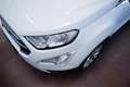 Ford EcoSport 1.0 Ecoboost Titanium S&S 125 CV - thumbnail 16