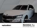 Skoda Octavia Combi Selection 2.0 TDI DSG / Navi, AHK Weiß - thumbnail 1