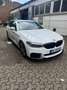 BMW 540 540d xDrive Touring M Paket Weiß - thumbnail 2