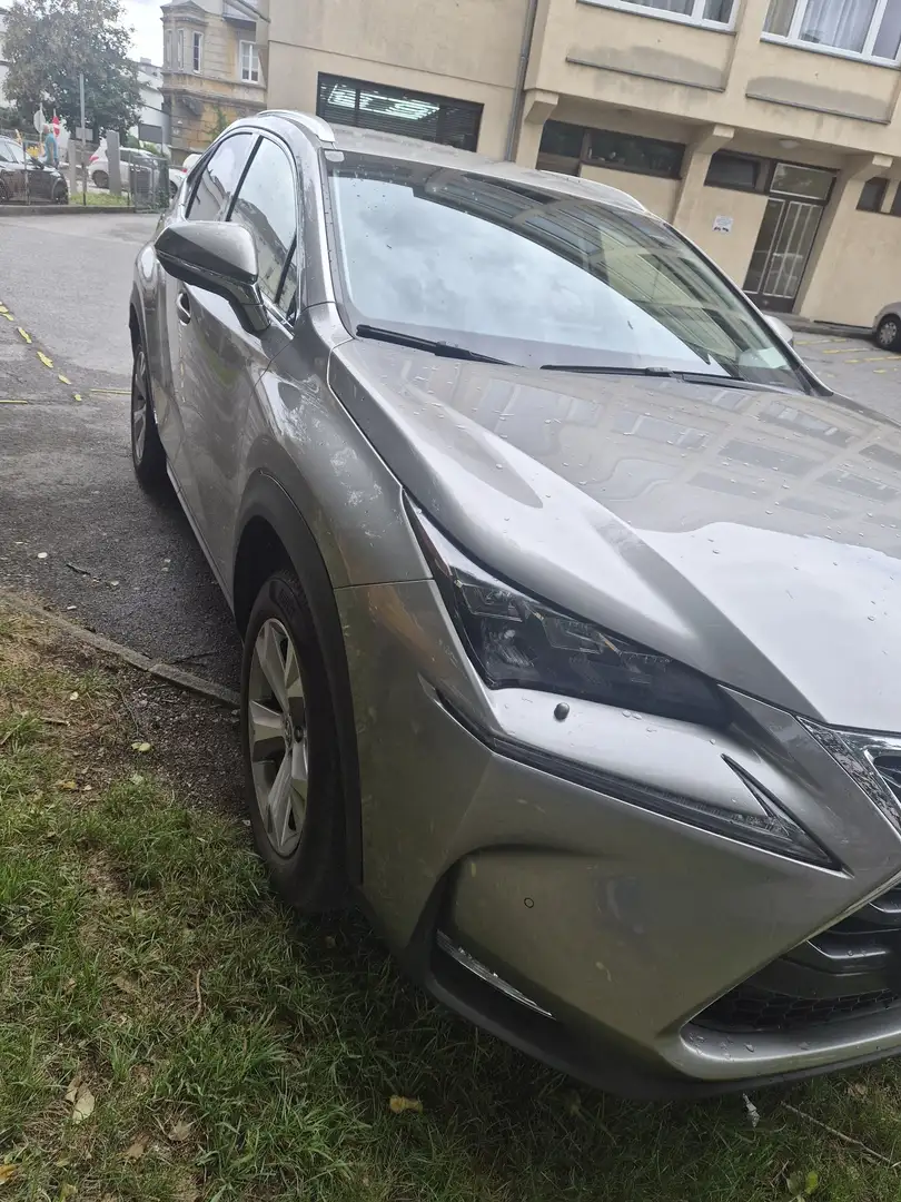 Lexus NX 300h Hybrid Aut. Beige - 1