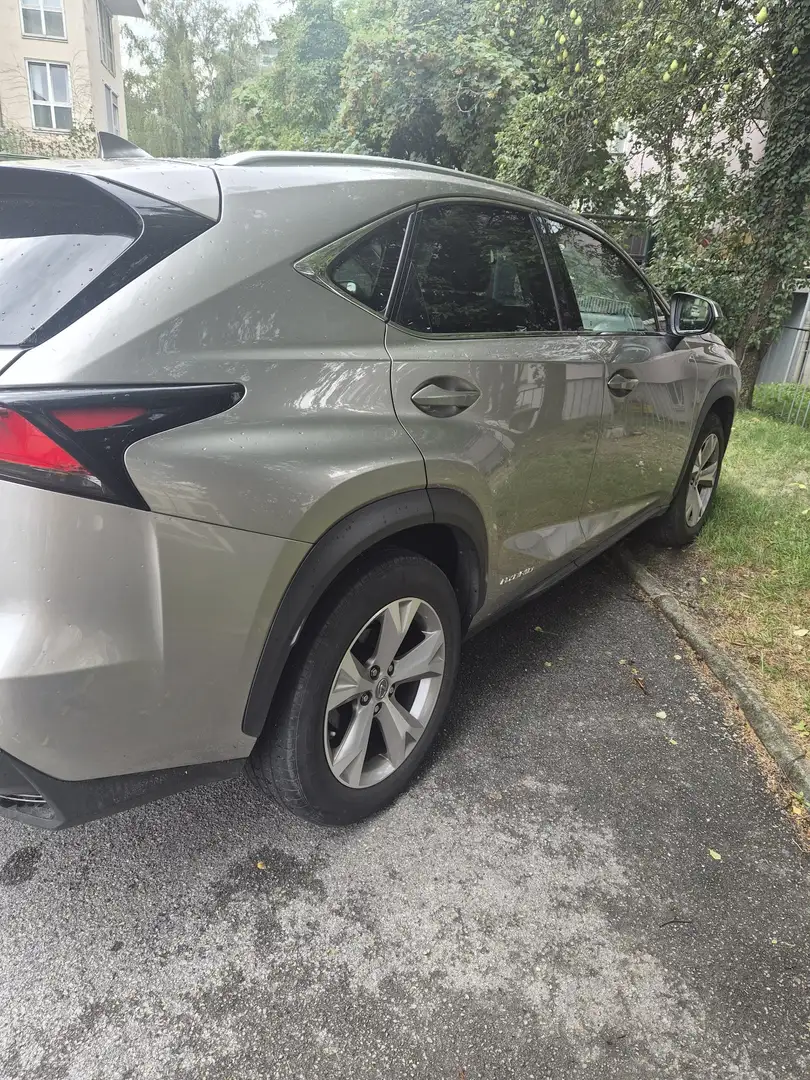 Lexus NX 300h Hybrid Aut. Beige - 2