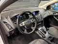 Ford Focus 1.6 EcoBoost Lease Titanium Navi/Airco/Cruise Cont Weiß - thumbnail 9