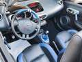 Renault Wind GORDINI Serie numerata KM 46.000 Blau - thumbnail 23