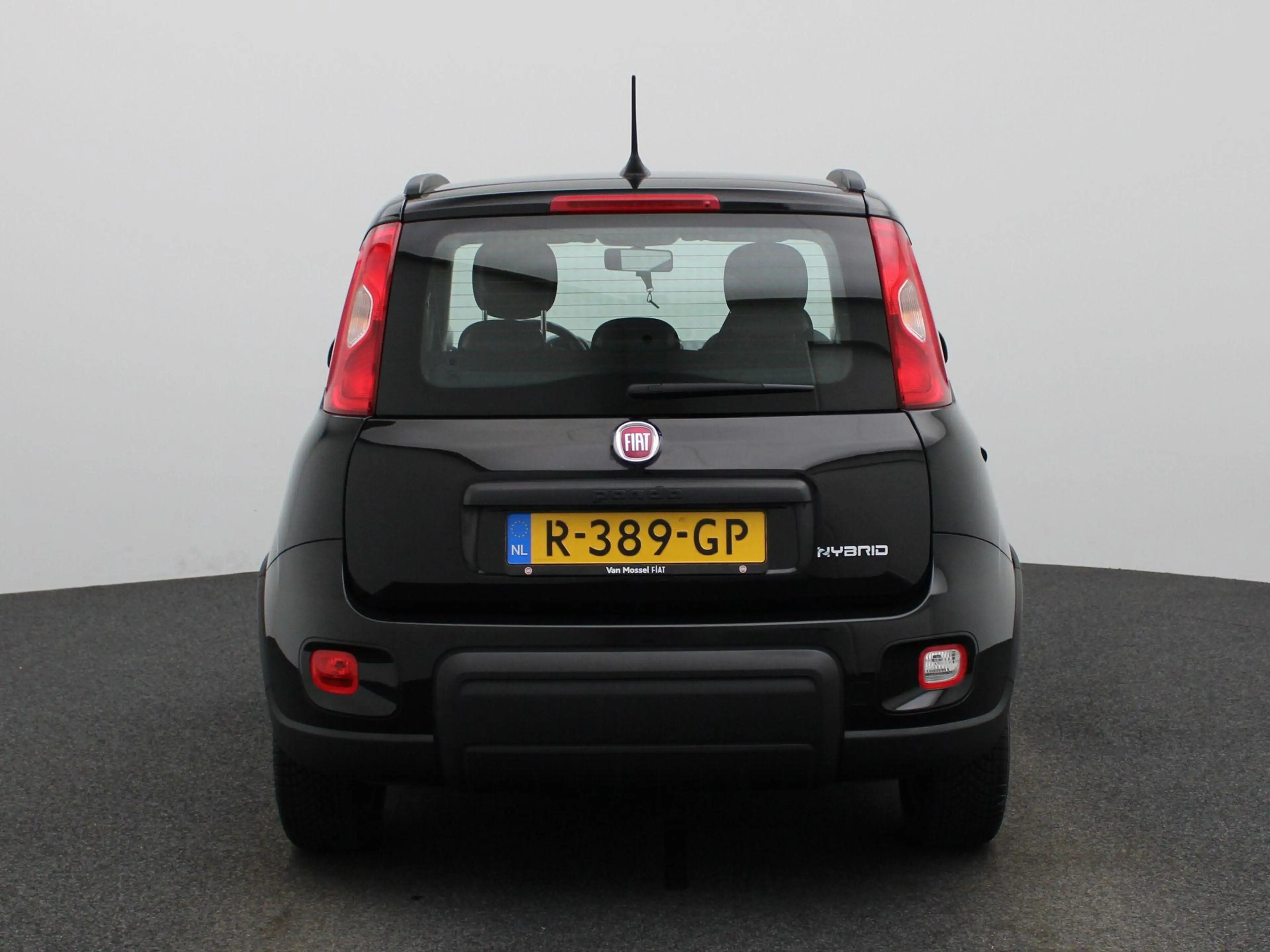 Fiat Panda 1.0 Hybrid City Life | WORDT VERWACHT | — photo 5
