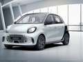 smart forFour smart EQ forfour Cool & Audio PDC Winter-Paket Weiß - thumbnail 2