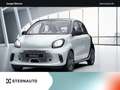 smart forFour smart EQ forfour Cool & Audio PDC Winter-Paket Weiß - thumbnail 1