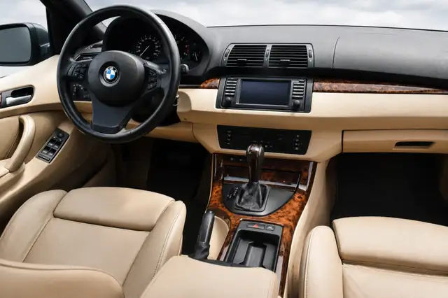 BMW X5 X5 view 2