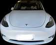 Tesla Model Y Long Range Dual Motor AWD - thumbnail 1