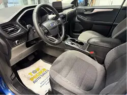 Ford Escape снимка Ford Escape